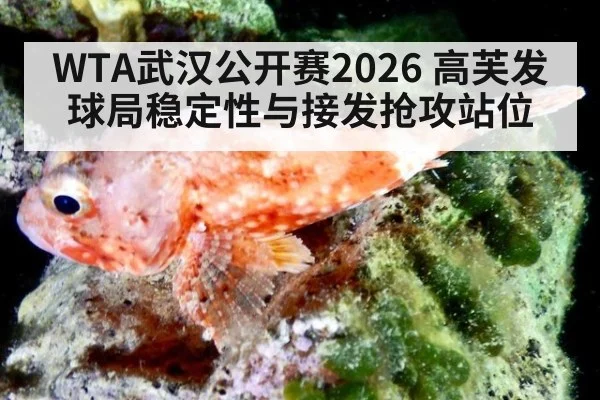 WTA武汉公开赛2026 高芙发球局稳定性与接发抢攻站位